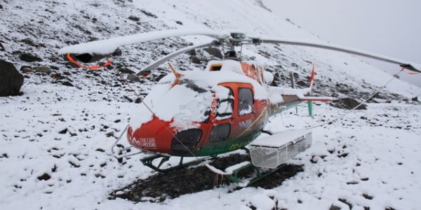 Galería Albatros