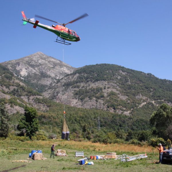Galería Albatros